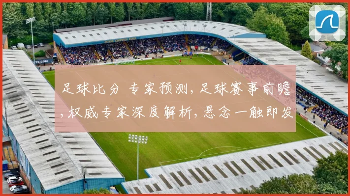 足球比分 专家预测,足球赛事前瞻,权威专家深度解析,悬念一触即发,谁将问鼎冠军