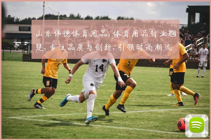山东伟德体育用品,体育用品行业翘楚,专注品质与创新,引领时尚潮流